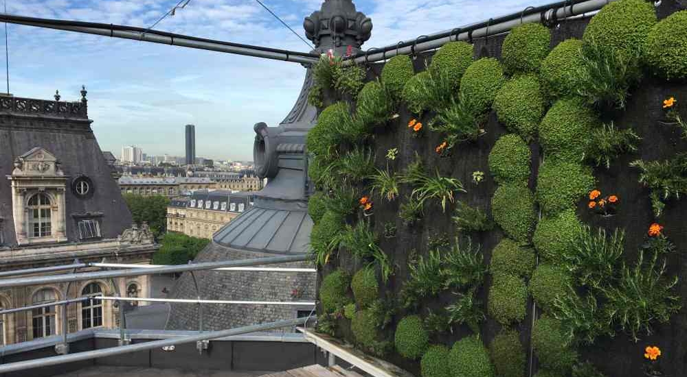 Die Landwirtschaft zieht in Paris auf die Dächer