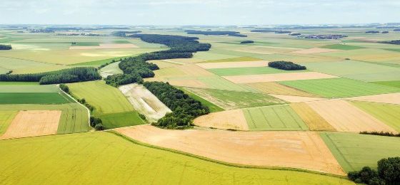 Bayern beschließt Pakt für land- und forstwirtschaftliches Eigentum