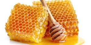 Hinweis auf Ursprungsland bei Honig-Portionspackungen - Ecovis Agrar