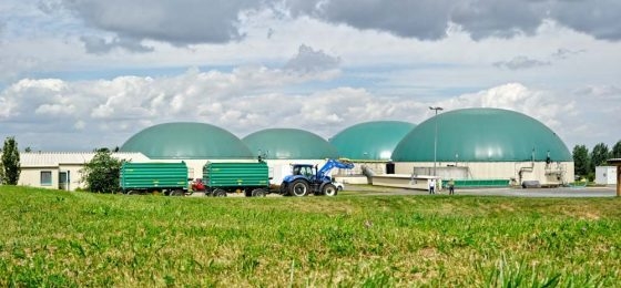 Biogasanlage und BHKW sind einheitliches Wirtschaftsgut