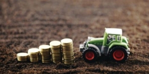 Umsatzsteuerpauschalierung für Landwirte: Wie geht es weiter? - Ecovis Agrar