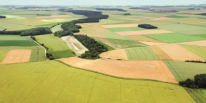 Freiwilliger Landtausch: Sind Grundstücke steuerlich neu zu bewerten? - Ecovis Agrar