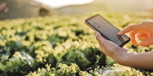 Digitalisierung in der Landwirtschaft: Chancen nutzen und gewinnen - Ecovis Agrar