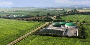 Kostenlose Wärmeabgabe aus einer Biogasanlage: Was gilt für die Vorsteuer? - ECOVIS Agrar - Steuerberater, Rechtsanwälte, Unternehmensberater