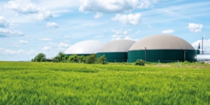 Biogasanlagen: Wann ist eine Biogasanlage gewerblich? - ECOVIS Agrar - Steuerberater, Rechtsanwälte, Unternehmensberater