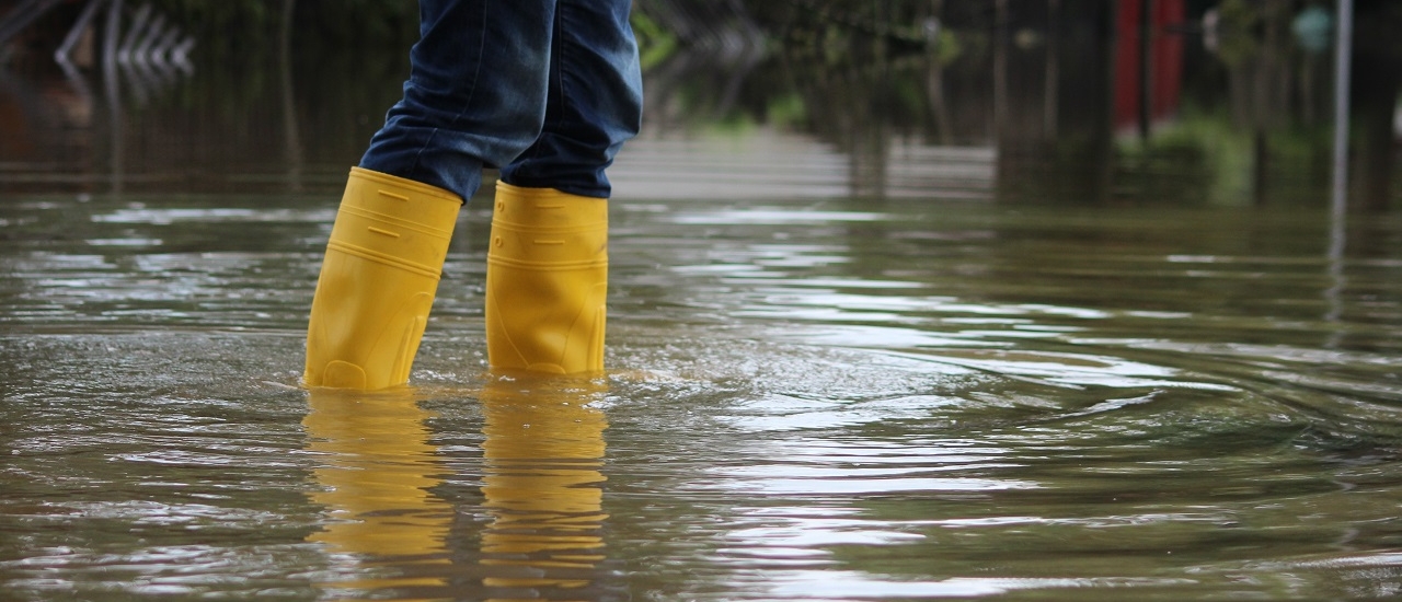 Staatliche Hochwasser-Hilfen für Land- und Forstwirte: Jetzt beantragen