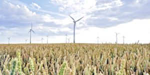 AfA für Windenergieanlage: Schon im Probebetrieb erlaubt? - ECOVIS Agrar - Steuerberater, Rechtsanwälte, Unternehmensberater