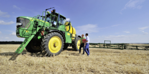 Bis wann können Landwirte die Regelbesteuerung beantragen? - ECOVIS Agrar - Steuerberater, Rechtsanwälte, Unternehmensberater