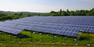 Grundsteuer: Was gilt für verpachtete Photovoltaik-Freiflächenanlagen? - ECOVIS Agrar - Steuerberater, Rechtsanwälte, Unternehmensberater