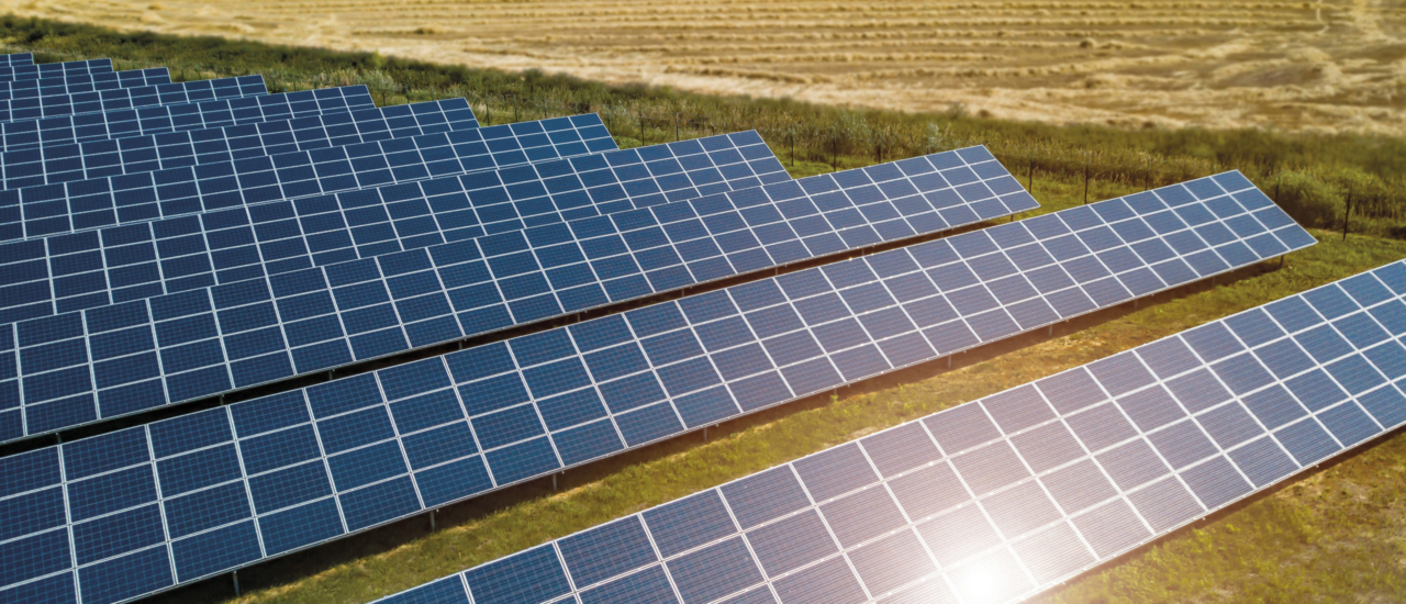 Photovoltaik: Die Steuerfallen bei PV-Freiflächenanlagen