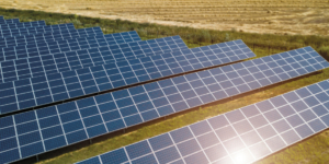 Photovoltaik: Die Steuerfallen bei PV-Freiflächenanlagen - ECOVIS Agrar - Steuerberater, Rechtsanwälte, Unternehmensberater