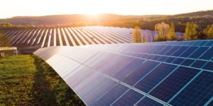 Photovoltaikanlage im Teilbetrieb weiterführen – so geht es richtig - Ecovis Agrar