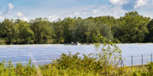 Photovoltaikanlagen auf landwirtschaftlichen Flächen: In Bayern gilt weiterhin die günstigere Grundsteuer A - Ecovis Agrar