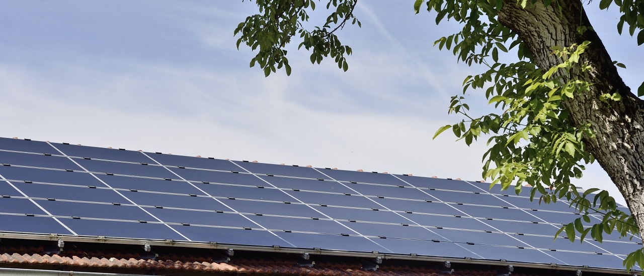 Photovoltaik: Lassen sich Betriebsausgaben trotz Steuerfreiheit anerkennen? - Ecovis Agrar