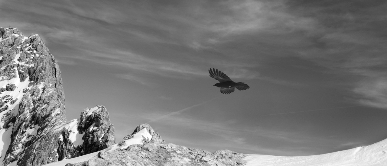 ECOVIS Linder & Gruber