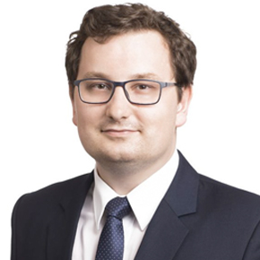 Lawyer and Insolvency administrator in Prague