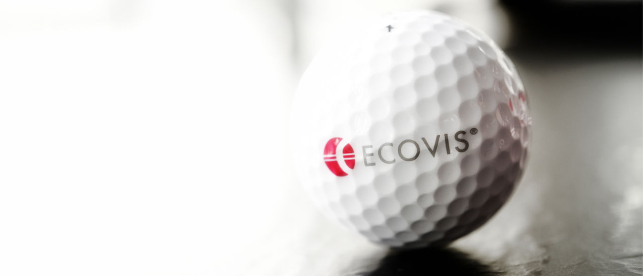 Career at ECOVIS in Egypt