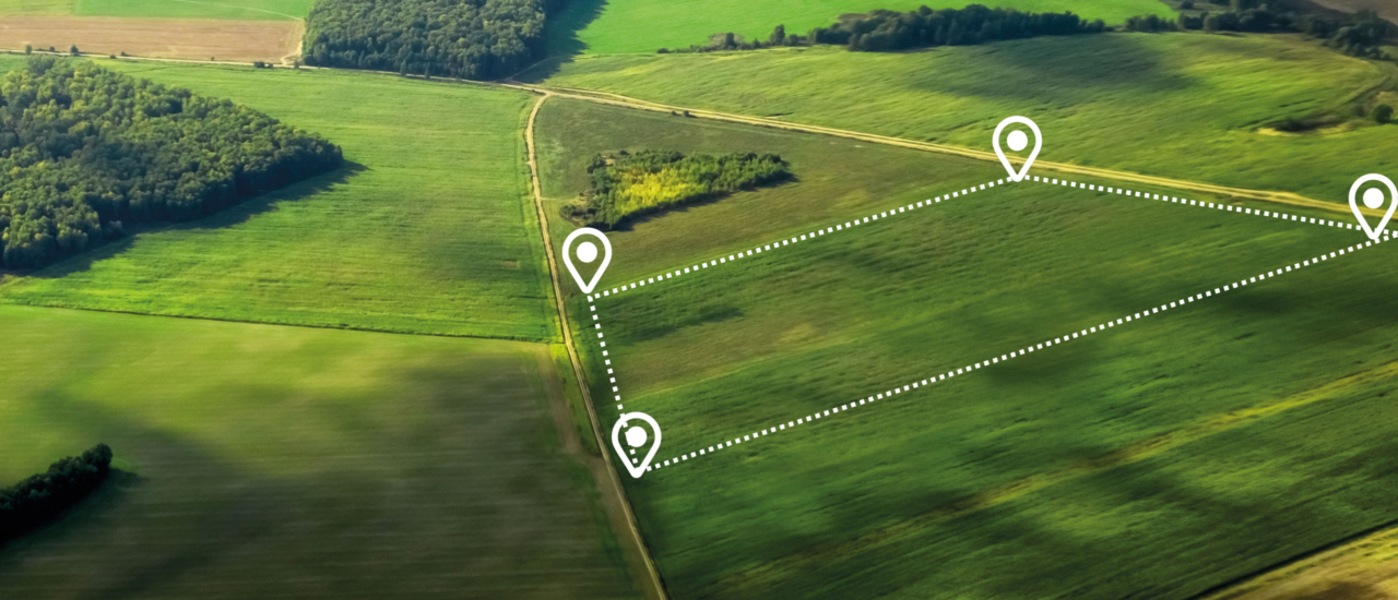 Landpachtverträge: Wer trägt ab 2025 die Grundsteuer?
