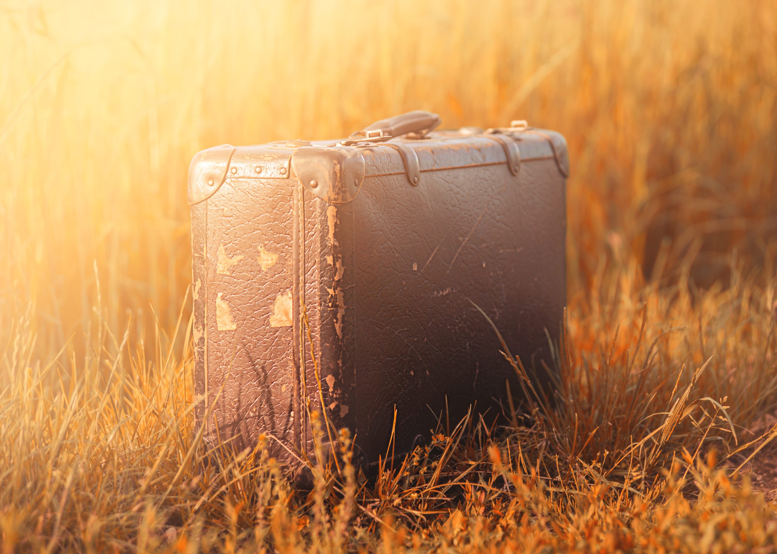 Process Agent in Deutschland bei Auswanderung: Zustelladresse rechtssicher sicherstellen - Ecovis Heidelberg