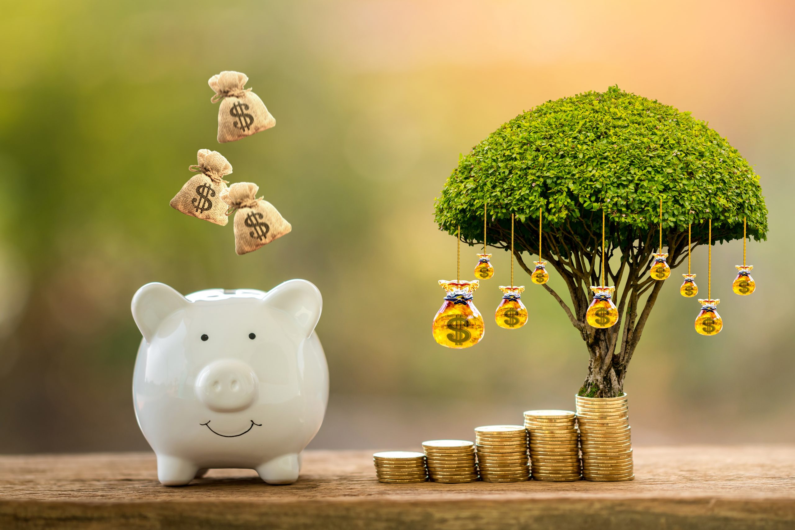 Steuerliche Förderung in China von Gewinnreinvestitionen ausgebaut