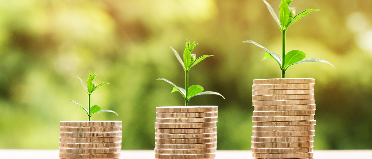 Profit repatriation – How to return assets to your home country? - Ecovis Heidelberg