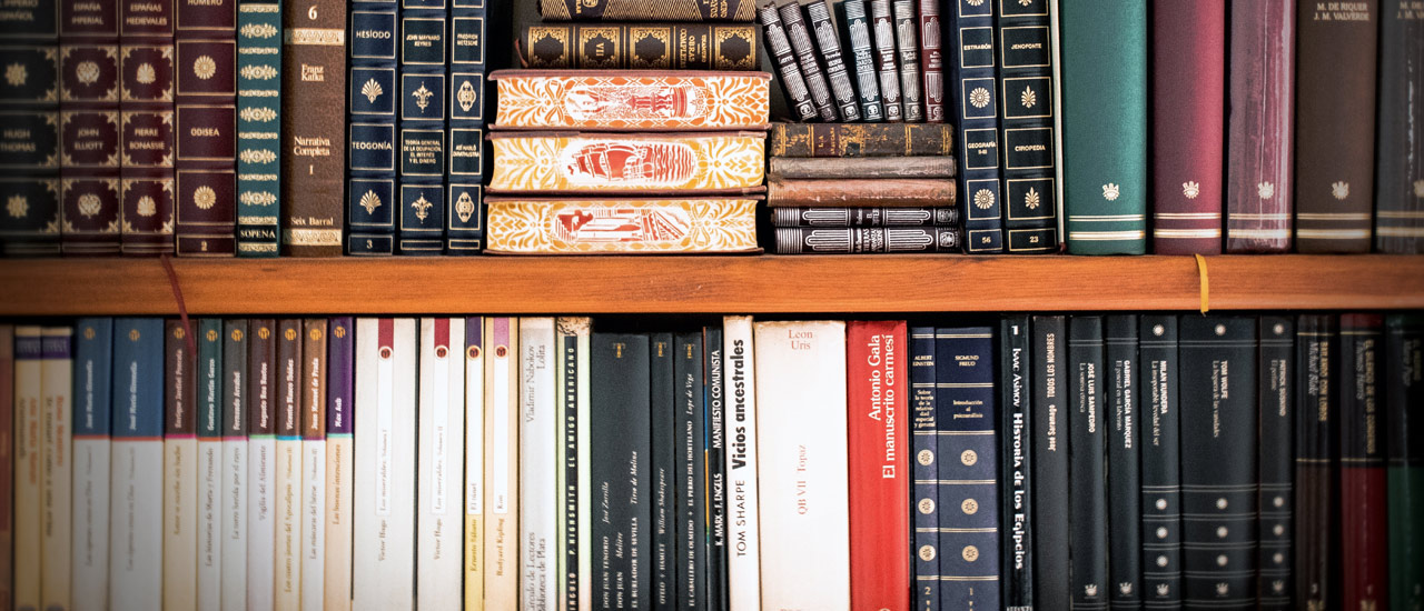 China’s New Foreign Investment Law - Ecovis Heidelberg