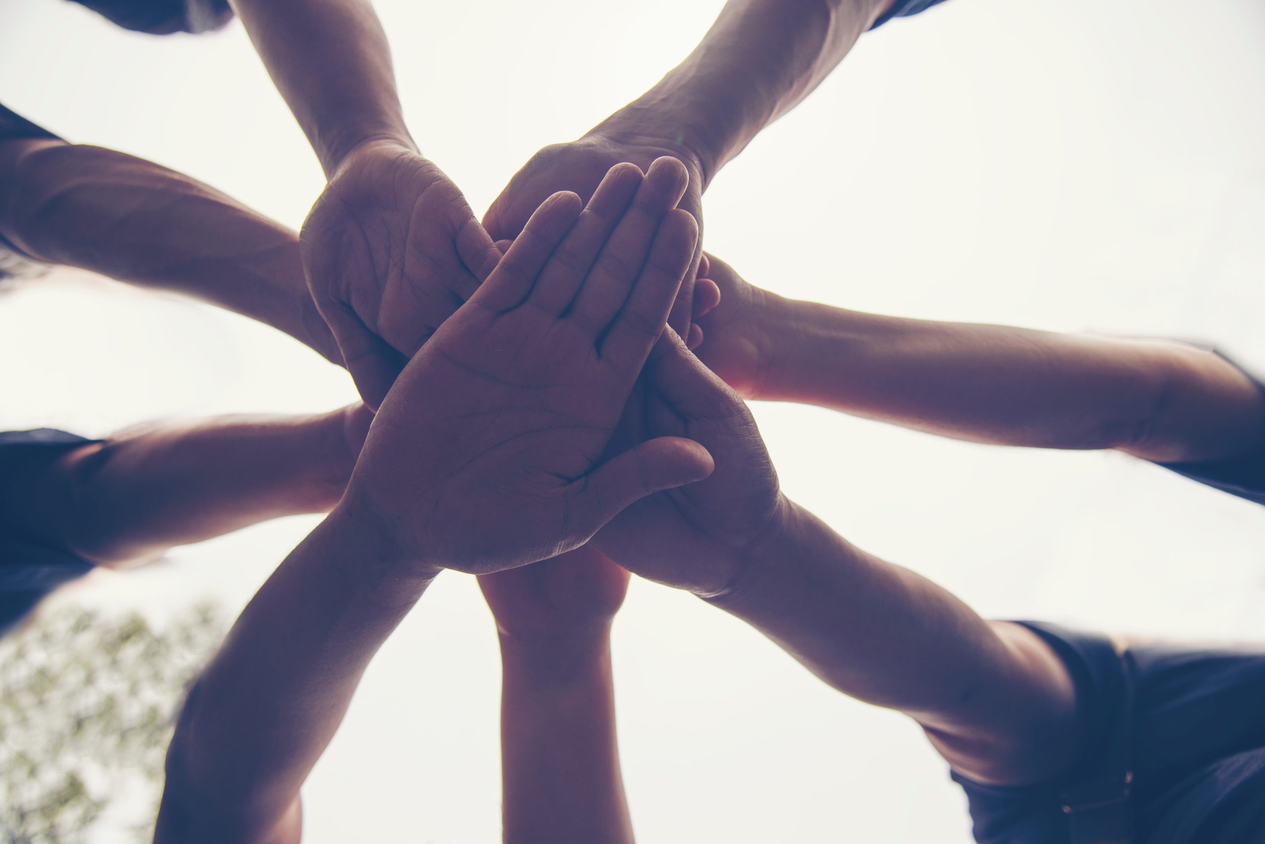 Shareholder Agreements in China: Why Unanimous Consent Alone Doesn’t Bind the Company