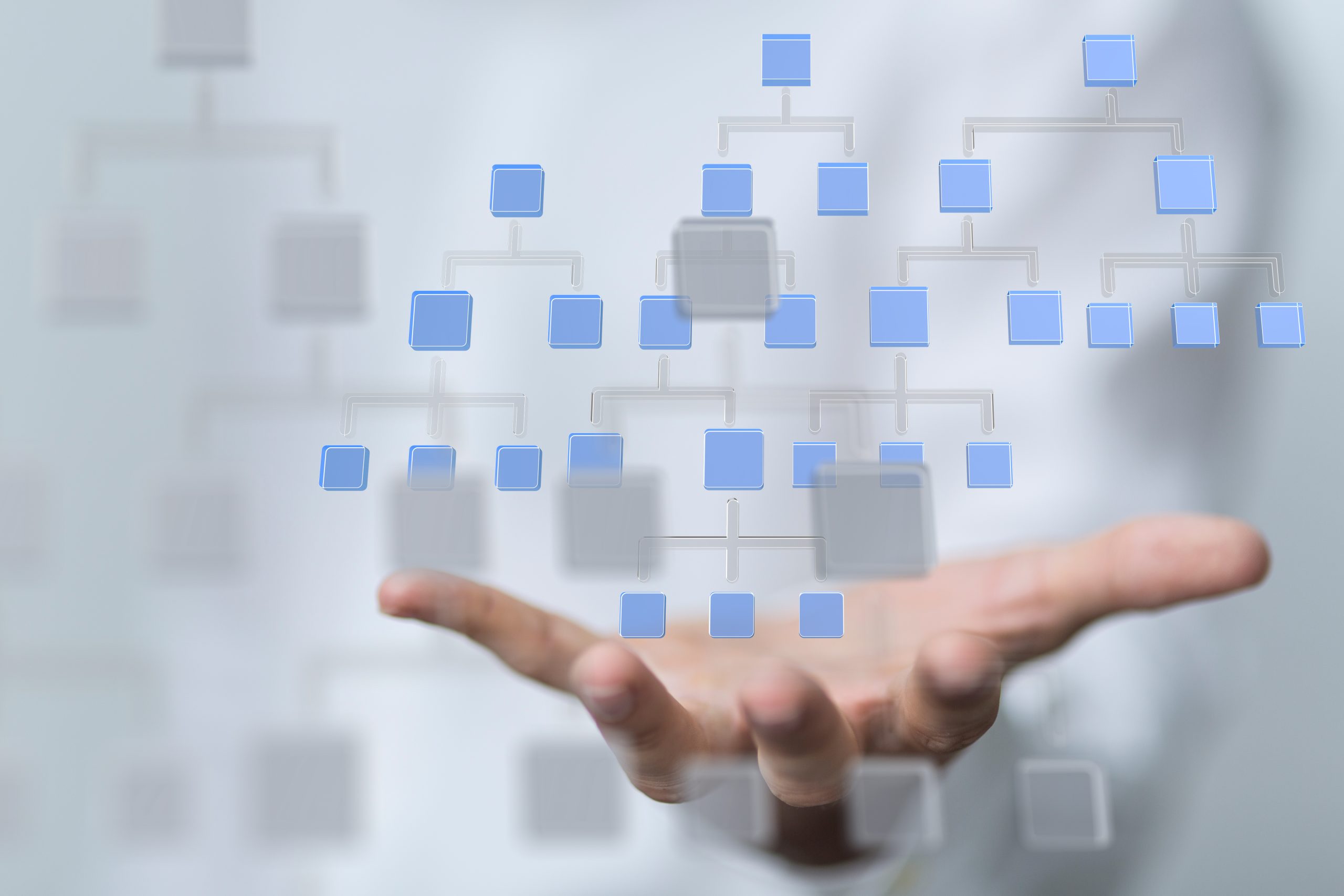 Structuring Your China Joint Venture: Key Lessons from General Manager Contracts and Shareholder Agreements