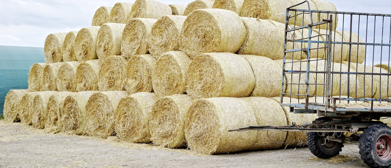 Agrarförderungen sichern