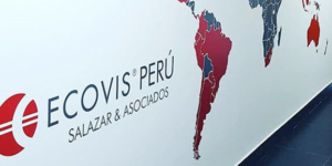 ECOVIS Peru
