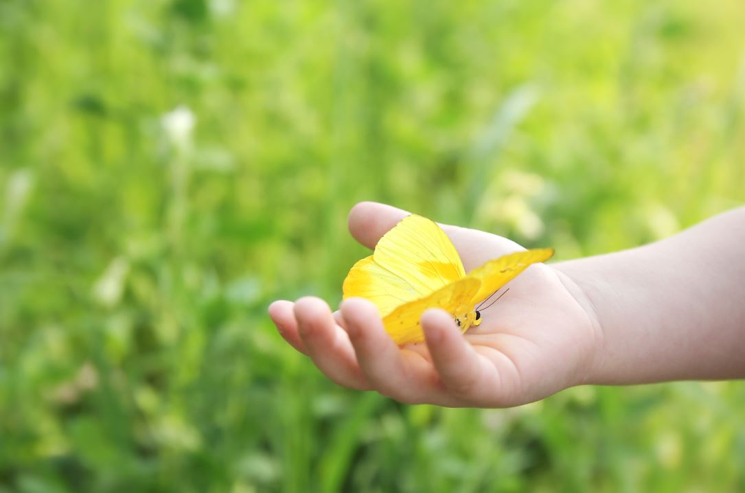 Begleitung krebserkrankter Kinder: Elternverein krebskranker Kinder Chemnitz