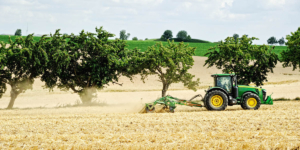 Förderprogramm: Marktstrukturförderung der Landwirtschaft in Bayern - Ecovis Unternehmensberater