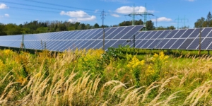 Bundeskabinett beschließt Solarpaket I: Erleichterter Ausbau der Solarenergie - Ecovis Unternehmensberater