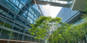 Neues Förderangebot unterstützt Unternehmen bei natürlichen Klimaschutzmaßnahmen - Ecovis Unternehmensberater
