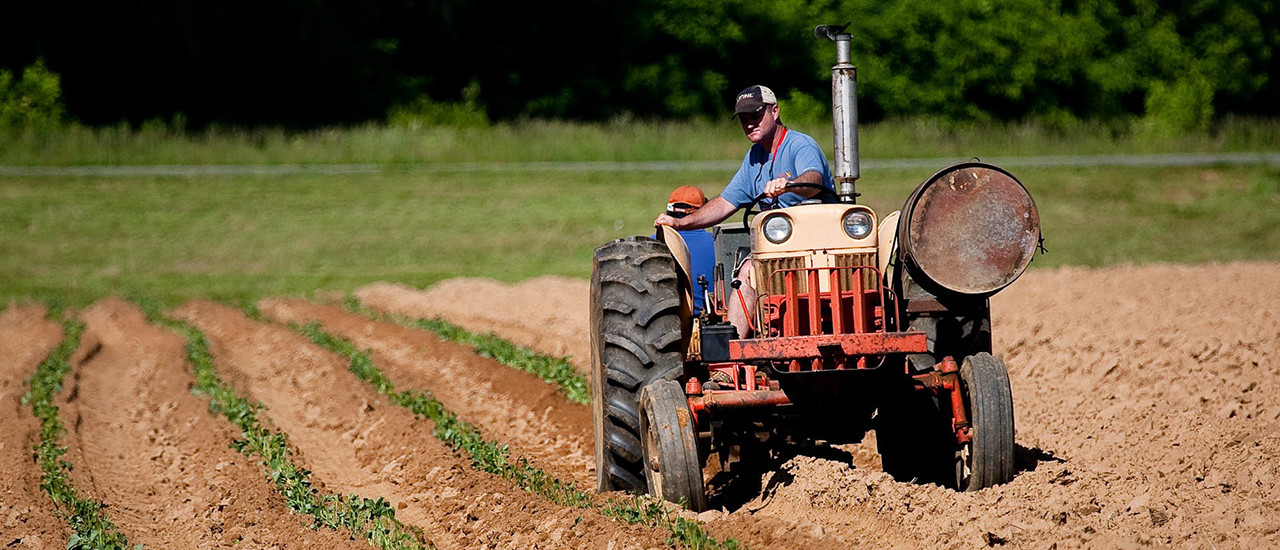 Productores Agropecuarios – Devolución IVA gasoil