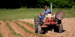 Productores Agropecuarios – Devolución IVA gasoil - Ecovis en Uruguay