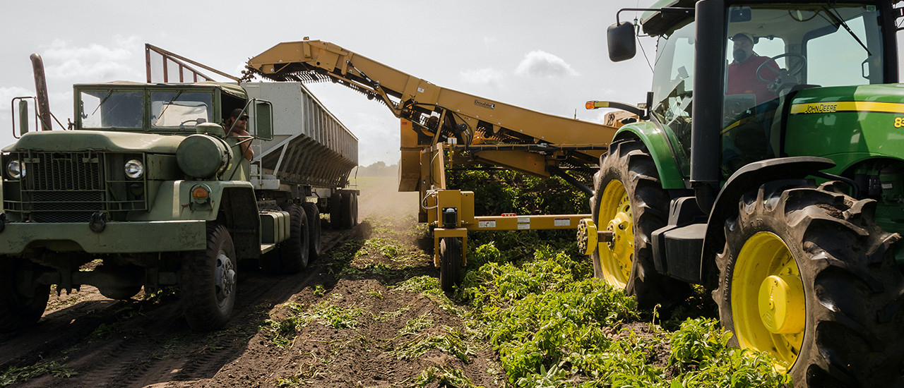 Productores agropecuarios – Cesión de certificados de crédito