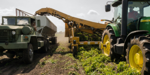 Productores agropecuarios – Cesión de certificados de crédito - Ecovis en Uruguay