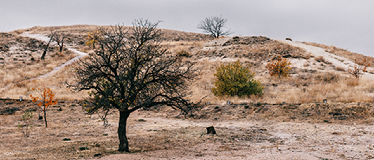 Productores agropecuarios – Cesión de certificados de crédito - Ecovis en Uruguay Productores agropecuarios – Cesión de certificados de crédito
