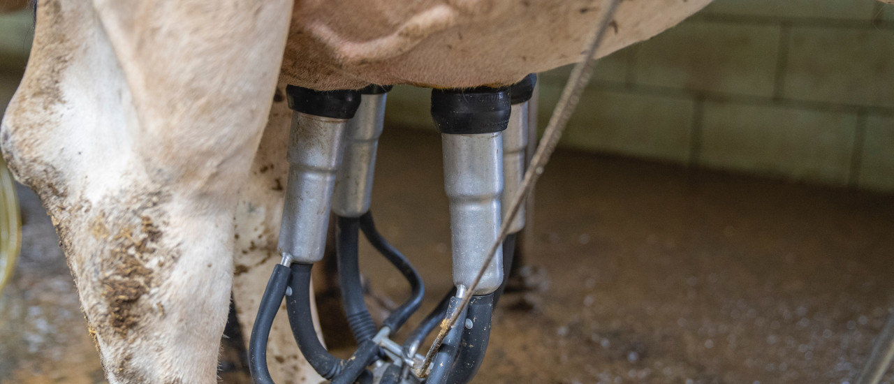 Fondo de reconversión de industrias lácteas