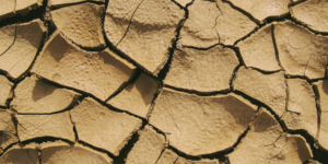 Medidas adoptadas por la emergencia hídrica - Ecovis en Uruguay