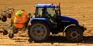 DGI – Certificados de crédito para productores agropecuarios - Ecovis en Uruguay