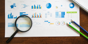 Confeccionando un plan de negocios - Ecovis en Uruguay