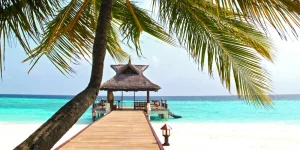 Actividad turística – Regulación - Ecovis en Uruguay