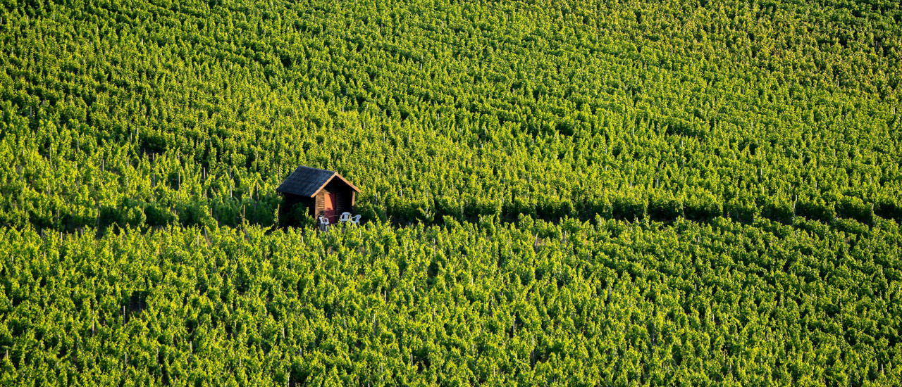 Índice Medio del Incremento de los Precios de Venta de los inmuebles rurales (IMIPVIR)