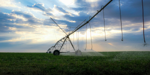 Sistemas de riego – costo de energía - Ecovis en Uruguay