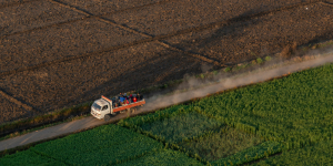 IVA – exoneración - Ecovis en Uruguay