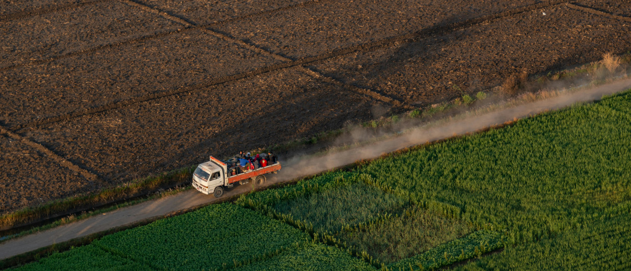 IVA – exoneración