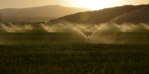 Impulsando las inversiones en el agro a través de los beneficios fiscales - Ecovis en Uruguay