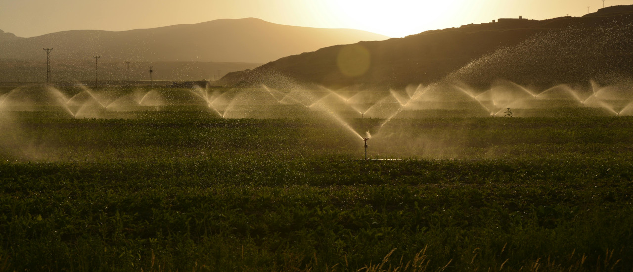 Impulsando las inversiones en el agro a través de los beneficios fiscales